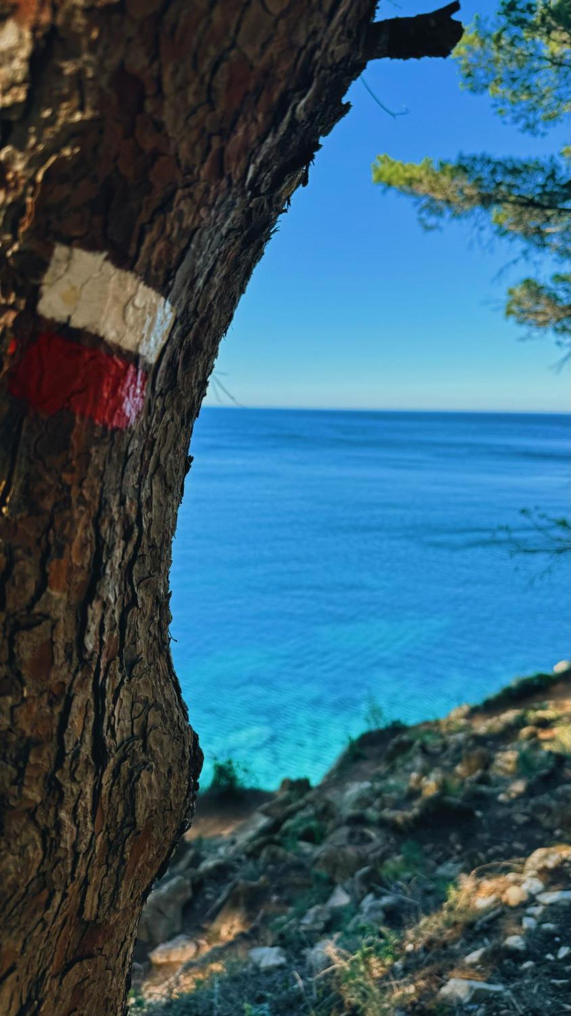 Can Romy Appartement T2F A 20M De La Plage De Cala Montgo L' Escala Luaran gambar